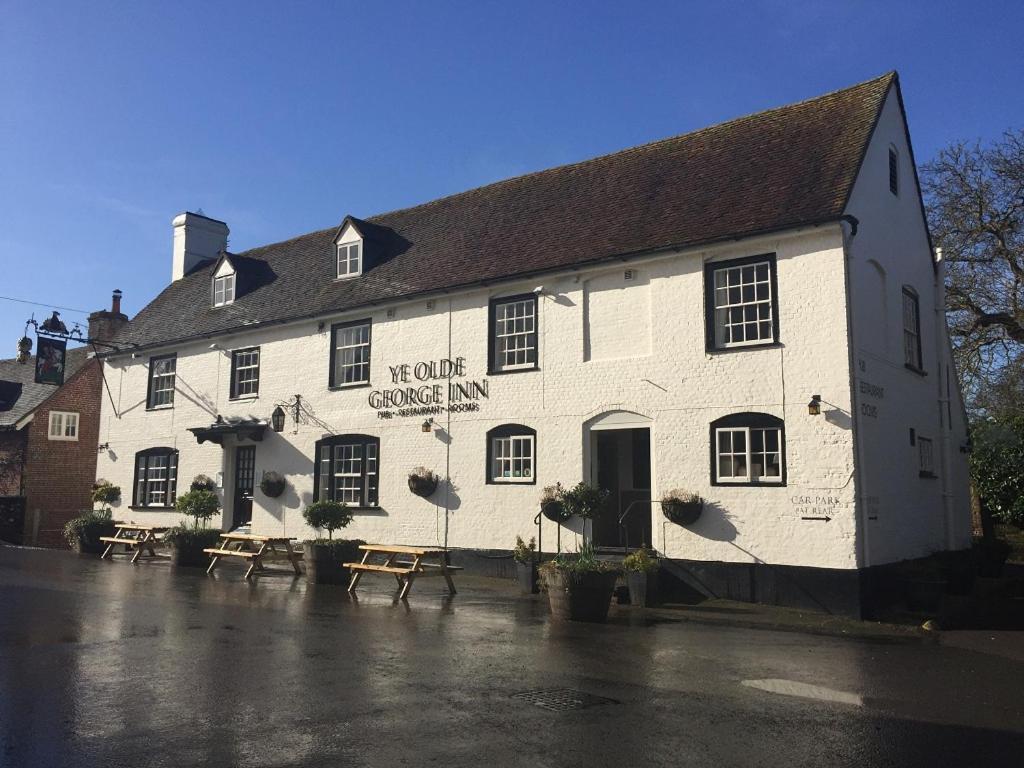 Ye Olde George Inn - Badger Pubs Privett Eksteriør bilde